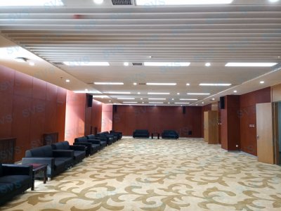 SVS为某汽集团打造大型数字会议项目