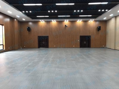 SVS为某船厂打造数字化多功能厅